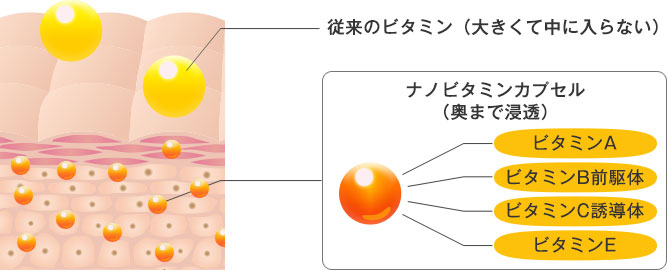 従来のビタミンは大きくて中に入らないが、ナノビタミンカプセルは奥まで浸透