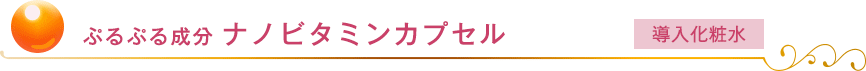 ぷるぷる成分ナノビタミンカプセル（導入化粧水）